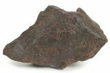 Chondrite Meteorite ( g) - Western Sahara Desert #232916-1